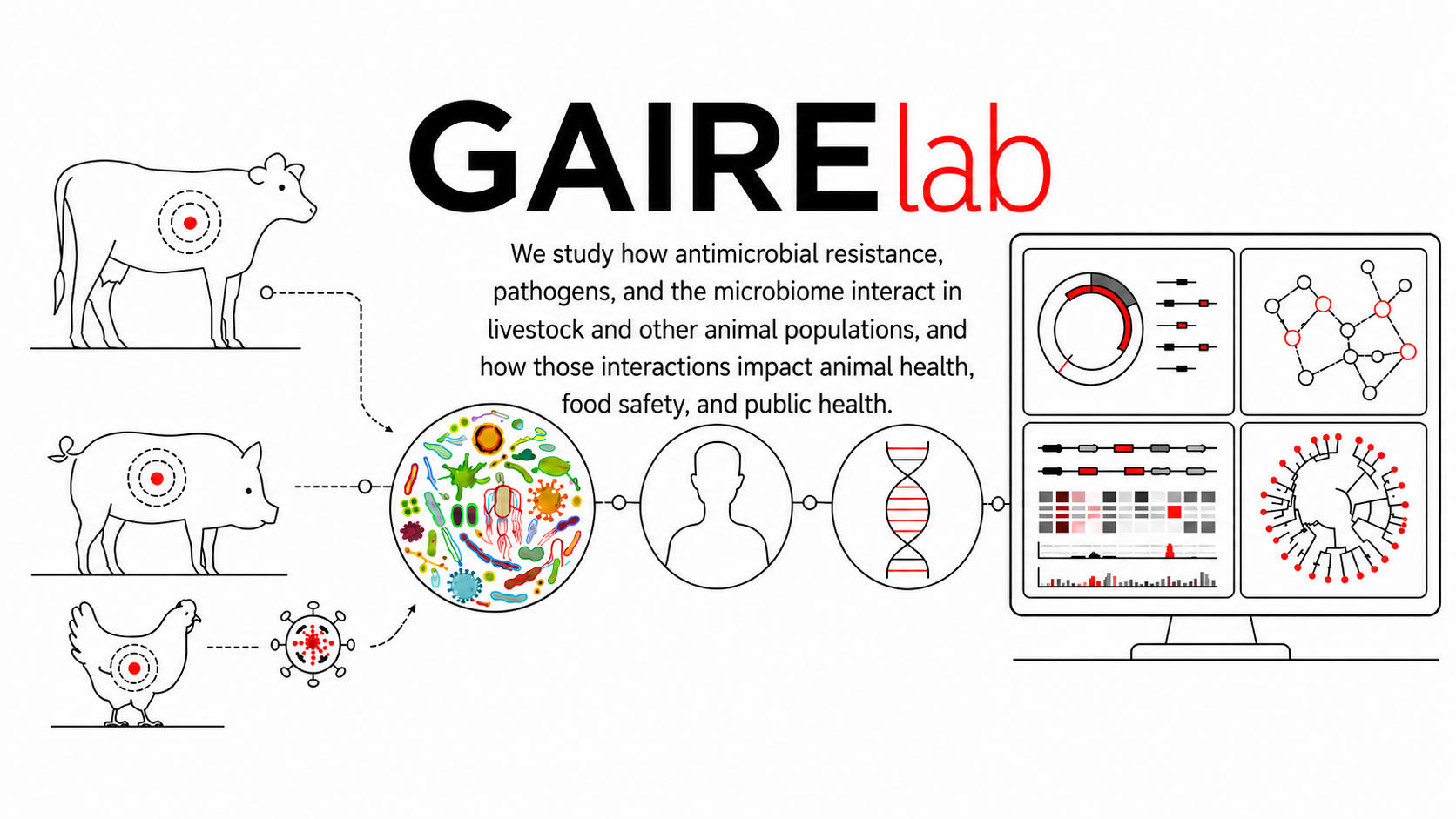 Gaire Lab research overview