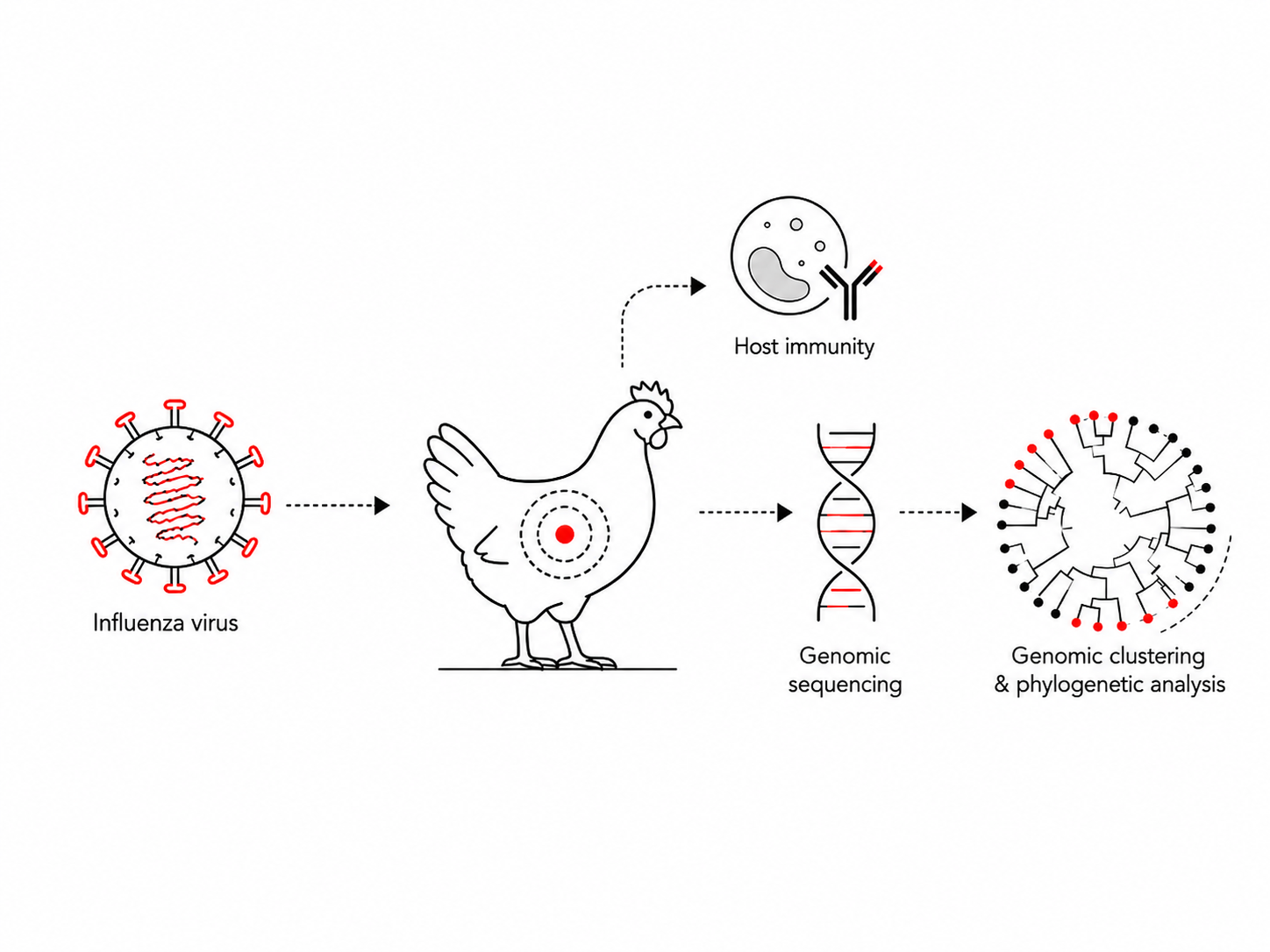 Applied genomic epidemiology
